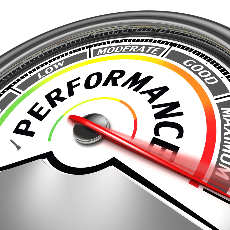 Performance Management - The ICHAF Training Institute